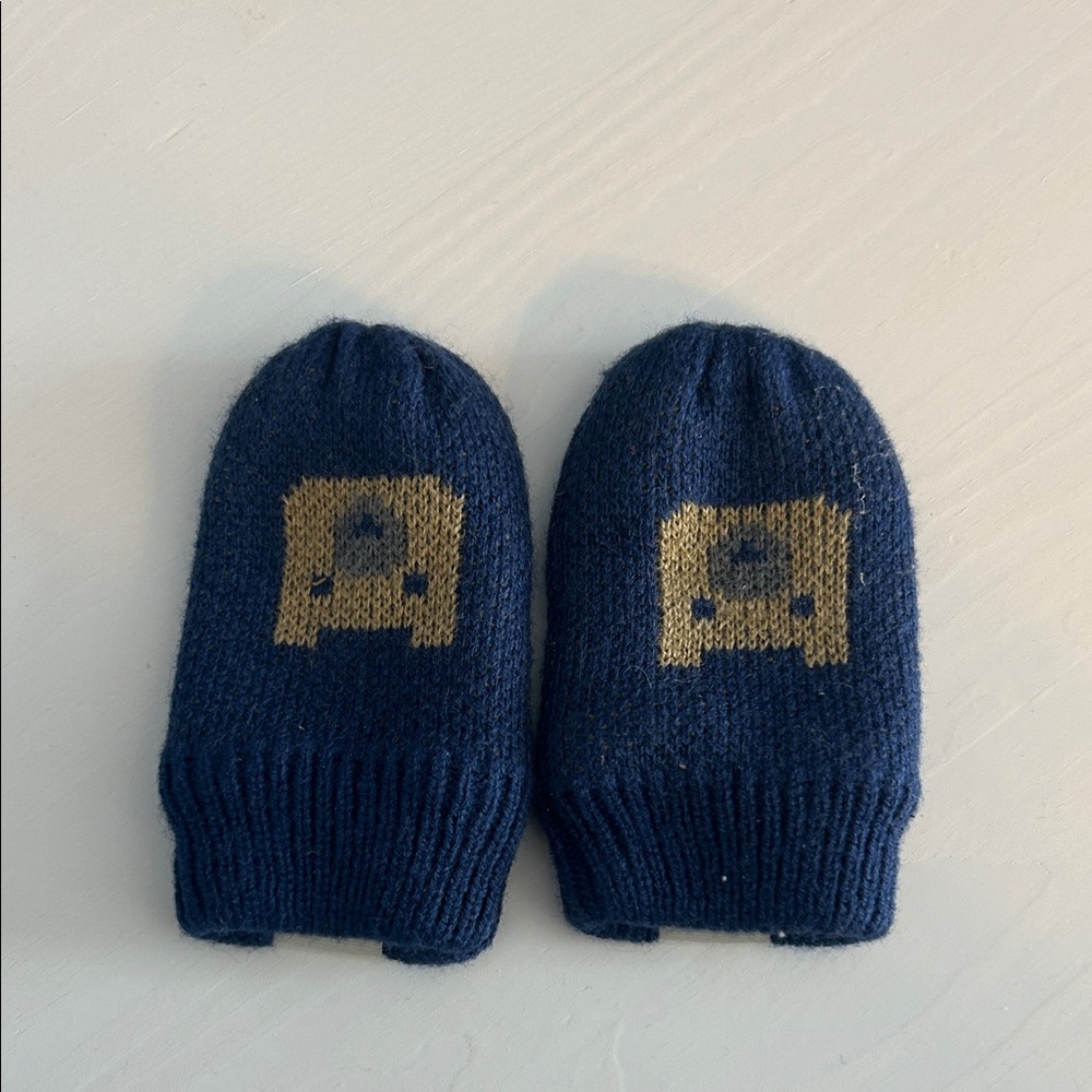 The North Face baby mittens in blue and brown
